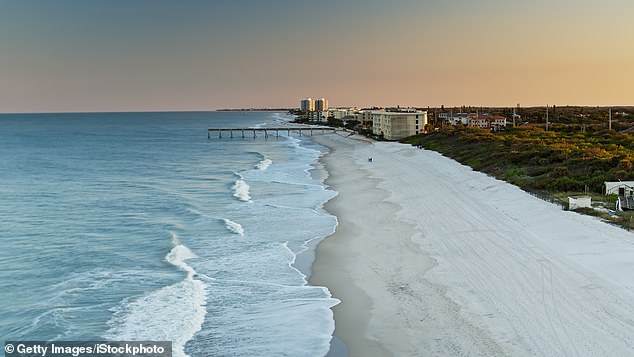 The team studied 20 dolphins stranded on the shores of Florida 's Indian River Lagoon, finding they all had signs of Alzheimer's