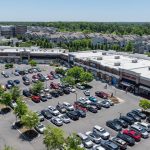 Giant Bats Eat Birds Mid-Air, and the Process Is Pretty Gruesome