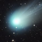 2 Sonoma County farms report avian flu outbreaks, resulting in destruction of nearly 290,000 birds