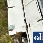 Kelsey Grammer Joins Elite Company With Baby No. 8