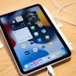 Glowing sperm helps to reveal secrets of mosquito sex