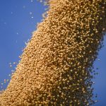 New World: Aeternum Is Ending New Content After Season 10