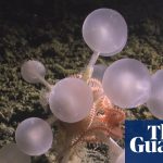 Whole milk or low-fat milk: Which is better for heart health?