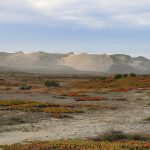 Cell-type- and locus-specific epigenetic editing of memory expression