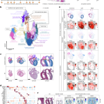 Google Is Why Grandpa Thinks A Mustang Truck Is Coming And It’s Why The Autopian Needs Your Help