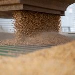 What comes after the Xbox Series consoles? Well, it’s pretty much just a PC – even the Microsoft CEO has said so