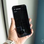 The luxury effect: why you’ll find more wildlife in wealthy areas – and what it means for your health | Biodiversity