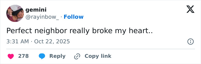 Tweet from user gemini expressing emotional impact of Netflix’s The Perfect Neighbor true story, posted on October 22, 2025.