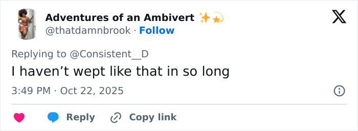 Twitter user expressing emotional reaction to Netflix’s The Perfect Neighbor based on its disturbing true story.