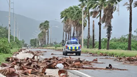 EPA Fallen tree debris along a road left behind by Hurricane Melissa in Kingston
