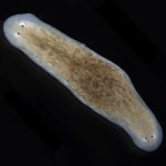 Mortgage rates jump 20 basis points following Fed cut