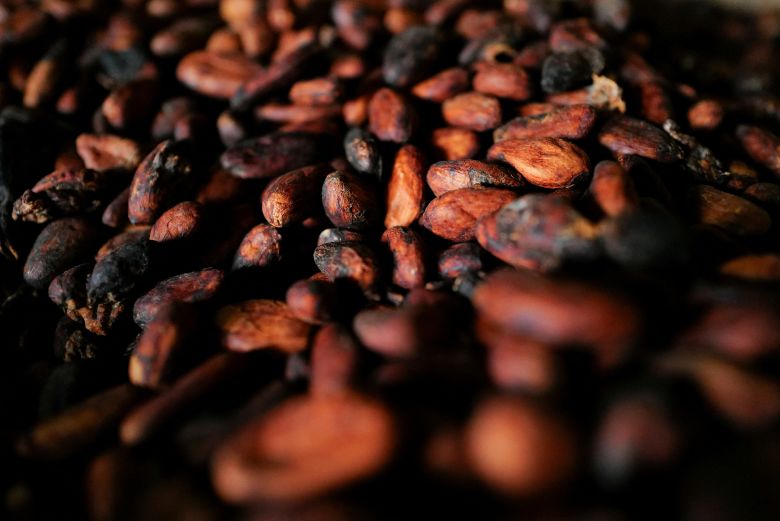 Sun-dried cocoa beans inside a warehouse in Assin Foso, Ghana, November 20, 2024.
