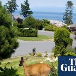 Tua Tagovailoa: Ravens fans’ crowd noise in Miami caused Dolphins’ false start