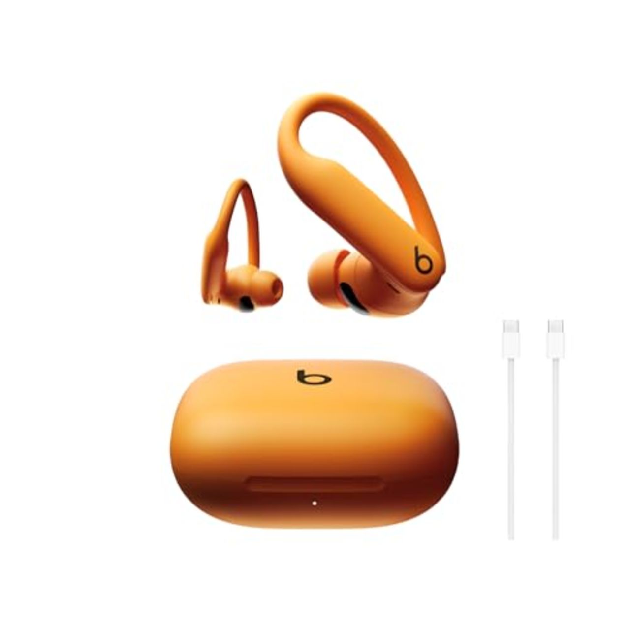 Beats Powerbeats Pro 2 Wireless Bluetooth Earbuds with USB-C Charge Cable (1m)