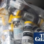 Scientists Confirm First Mosquitoes Found in Iceland