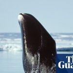 PS Plus Essential Games for November 2025 Announced