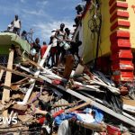 Mama Dog Crawls Under Fence To Escape Neglect — Then Finds Help For Her Puppies