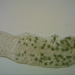 The US made three bets on China. All backfired.