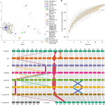 Apple Reportedly Plans to Upgrade Every iPad and MacBook Screen