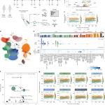 YouTube announces ‘voluntary exit program’ for US staff