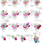 Meta, Google, and Microsoft Triple Down on AI Spending