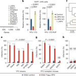 Astronomers Catch a Ring System Forming Around Chiron in Real Time : ScienceAlert