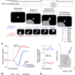 MPs raise concerns over Prince Andrew’s Royal Lodge lease