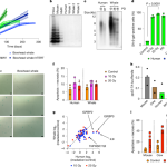 ‘The Flood Are Evil Space Zombie Parasites and Are Not an Allegory to Any Group of People’ — Original Halo Devs Hit Out at Homeland Security ICE Recruitment Ad