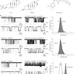 Eli Lilly (LLY) earnings Q3 2025