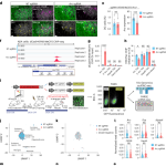 Adam Driver to Star in Netflix Hostage Show ‘Rabbit, Rabbit’