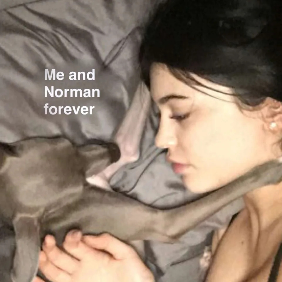 <span class="wp-caption-text">Kylie Jenner / Instagram</span>