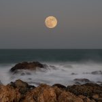 Europa Universalis 5 review | Rock Paper Shotgun