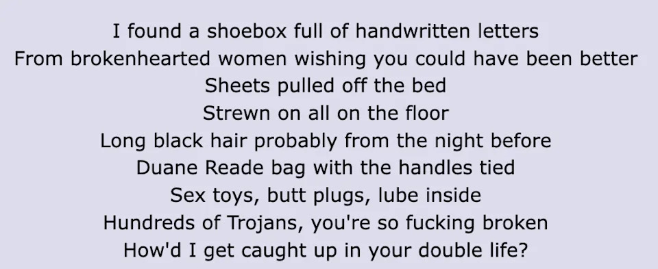 “I found a shoebox full of handwritten letters / From brokenhearted women wishing you could have been better / Sheets pulled off the bed / Strewn all on the floor / Long black hair probably from the night before,” she recalls. “Duane Reade bag with the handles tied / Sex toys, butt plugs, lube inside / Hundreds of Trojans, you're so fucking broken / How'd I get caught up in your double life?”