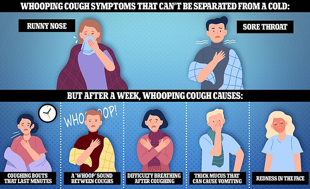Health officials warned that the infection is initially difficult to tell apart from a cold, as the first signs are a runny nose and sore throat. But around a week later, sufferers may develop coughing bouts that last minutes, struggle to breathe after coughing and make a 'whoop' sound between coughs
