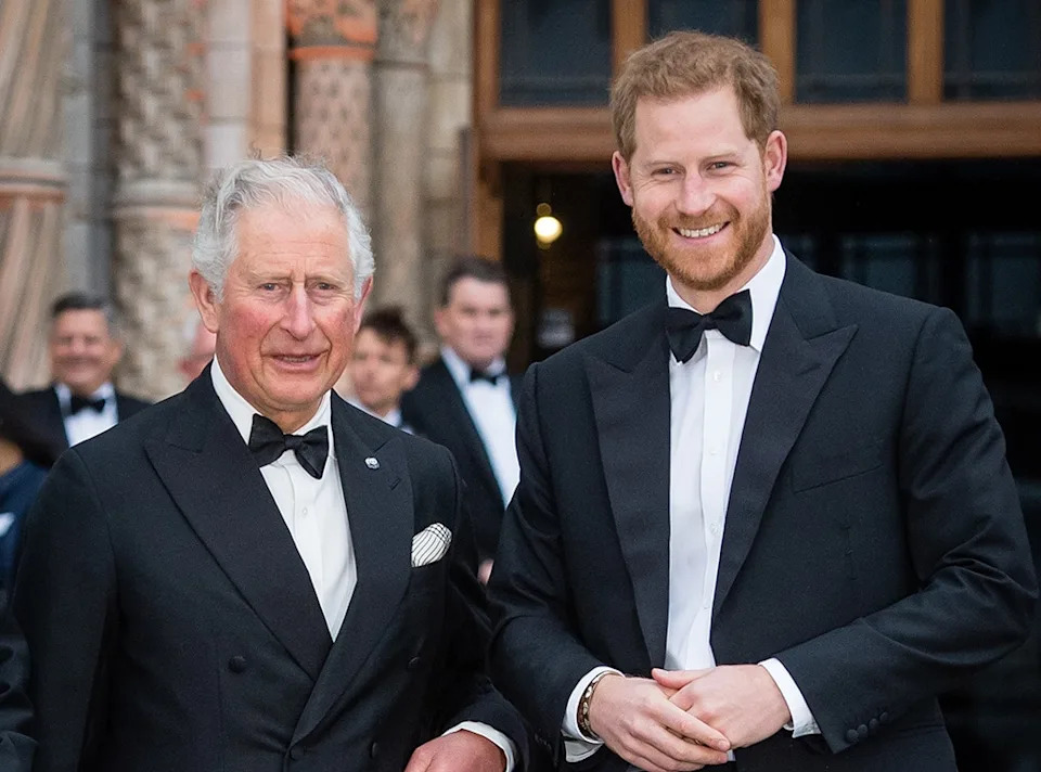 <p>Prince Harry and King Charles III Are Not Speaking</p>