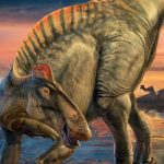 Eating Microwave Popcorn in 2025? You Can Do Better