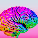 Scientists Observe The “Death” Of A Subducting Tectonic Plate For The First Time