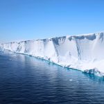 Ariana Grande Goes Back to Brunette After Years of Icy Blonde Locks