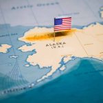 ‘Teenage T. rex’ fossil is actually a different species