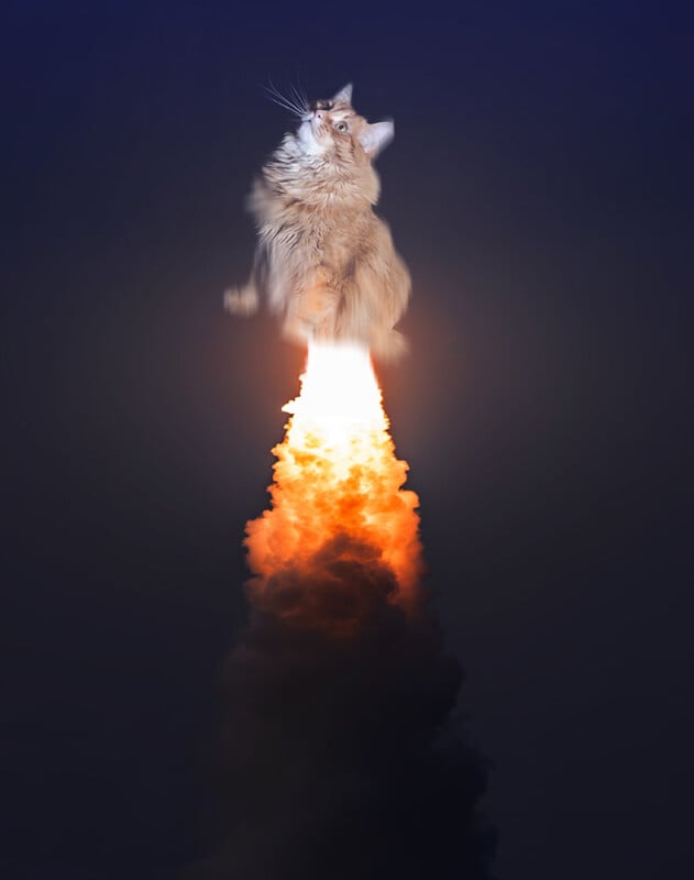 A fluffy orange cat appears to be launching into the sky on a fiery rocket, with smoke and flames trailing below it, set against a dark background.