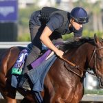 Trump funded SNAP benefits in a previous shutdown — but not now