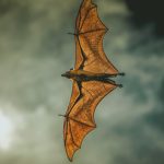 Help us verify you as a real visitor