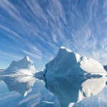 Vitamin-packed fruit called “black gold” lowers blood pressure