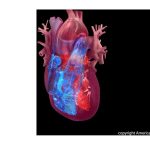 Pierre Robert dies: Philadelphia radio personality for 93.3 WMMR found dead in his home