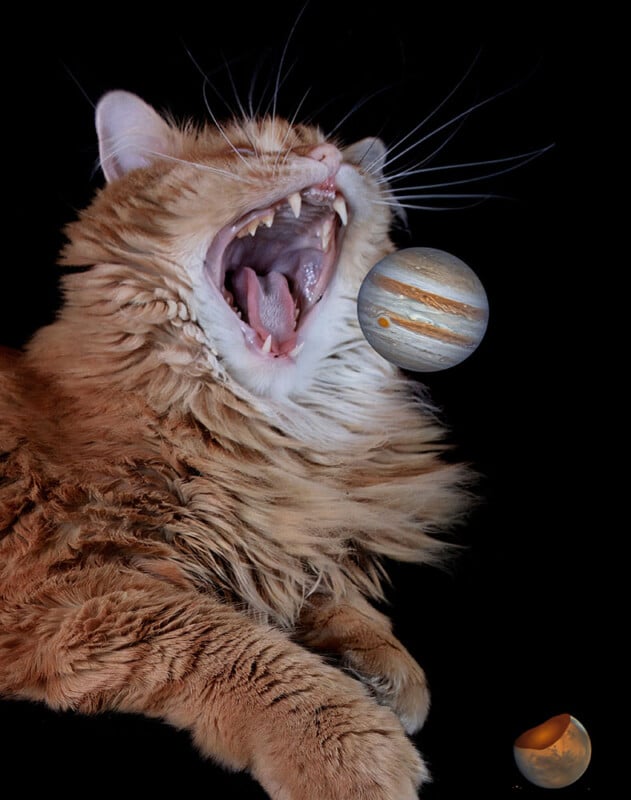 A fluffy orange cat with its mouth wide open appears to be about to eat a floating image of Jupiter, with a smaller image of Mars nearby, all set against a black background.
