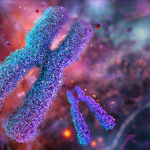 Scientists thought this fossil was a teen T. rex. Turns out it’s a new tyrannosaur : NPR