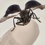 Nvidia is the first $5 trillion company