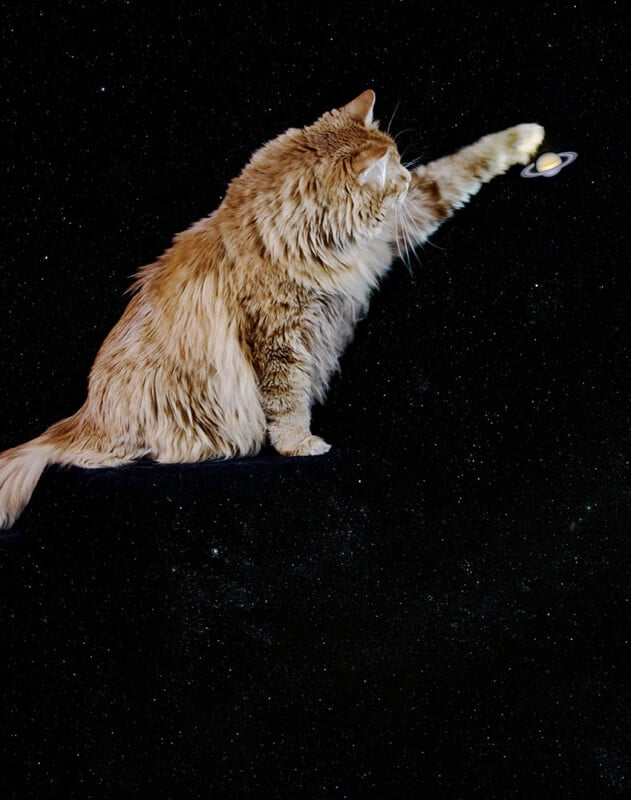 A fluffy orange cat appears to sit in space, reaching out with its paw toward the planet Saturn, which is depicted close to its paw against a black starry background.