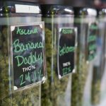 Kid Rock uses hurtful slur to describe his Halloween costume to FOX News host