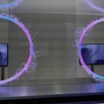 From Vitamin B12 to Folate: Scientist shares 8 essential nutrients to support brain longevity